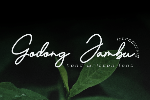 Godong Jambu: A Whimsical Font for Creative Design