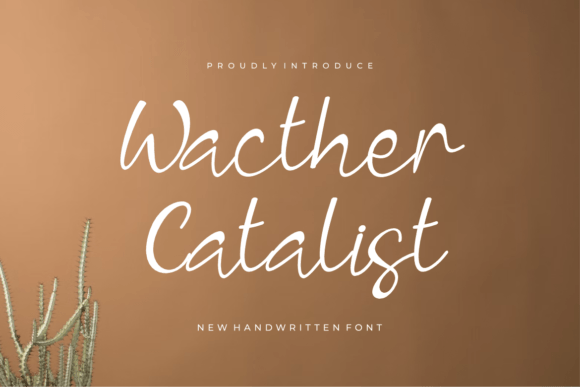 Wacther Catalist Font Review